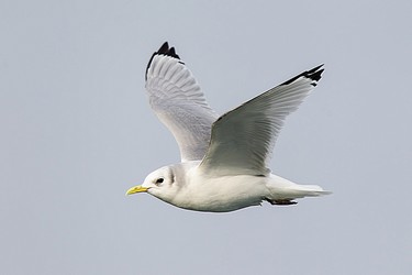 245796