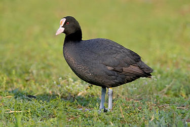 27191