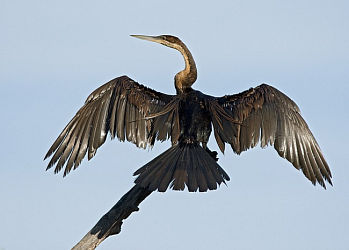 5892