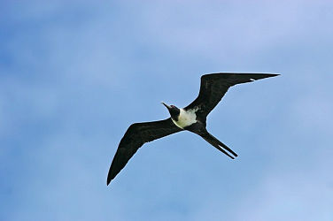 55864
