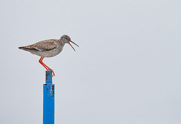 70901