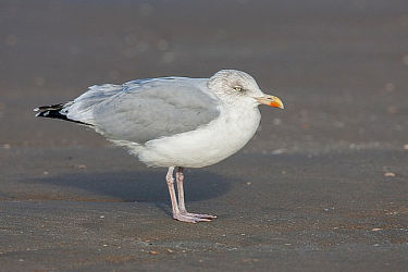 78698