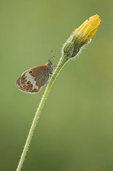91263
