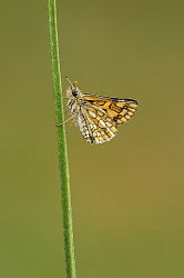 91503