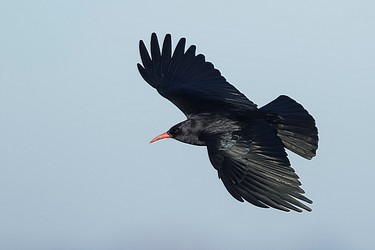 97320