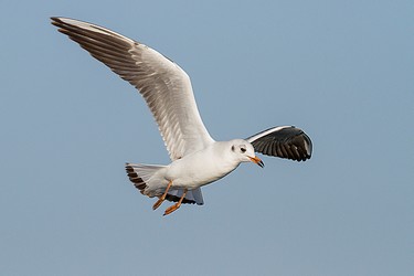 97808