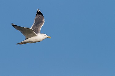 97819