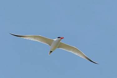 99218