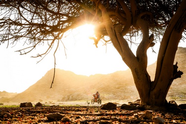 DAKAR 2026 - STAGE 1