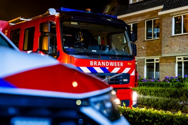 503274