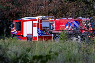 515598