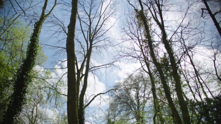 Video frame