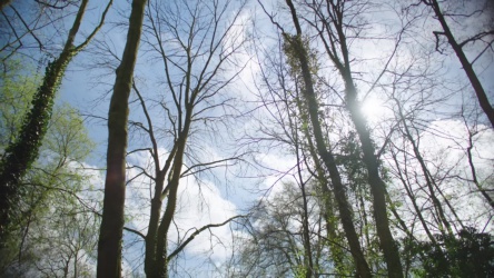 Video frame