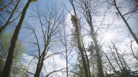 Video frame