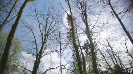 Video frame