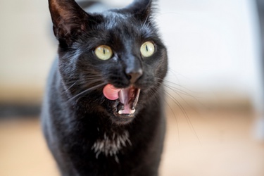 2197