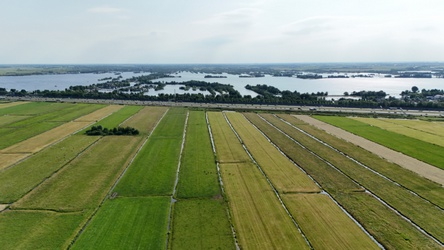 Vinkeveense Plassen