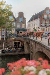 Oudegracht in de zomer