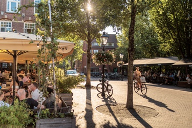 Ledig erf in de zomer