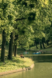 Maliesingel in de zomer