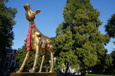 Gouden kalf van het NFF