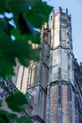 De Domkerk vanaf onderaanzicht